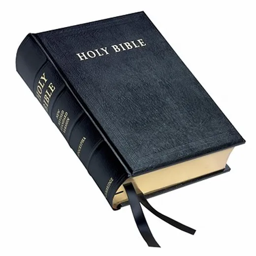 Holy Bible 